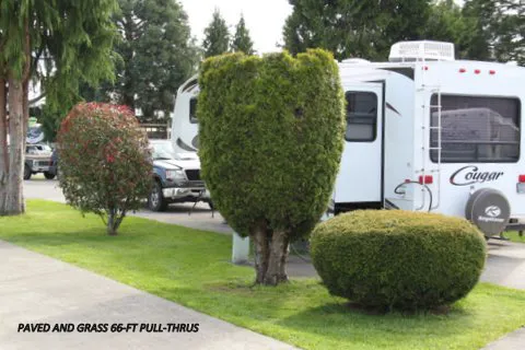 Midway RV Park Centralia Washington Picture 8