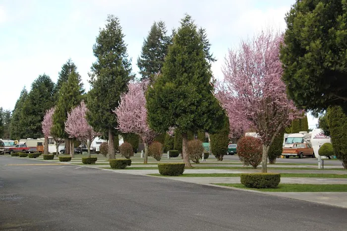 Midway RV Park Centralia Washington Picture 7