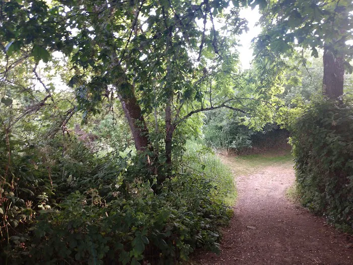 Salem Premier RV Resort Picture 4