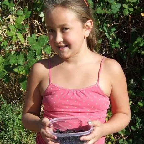 Salem Premier RV Resort Picture 10