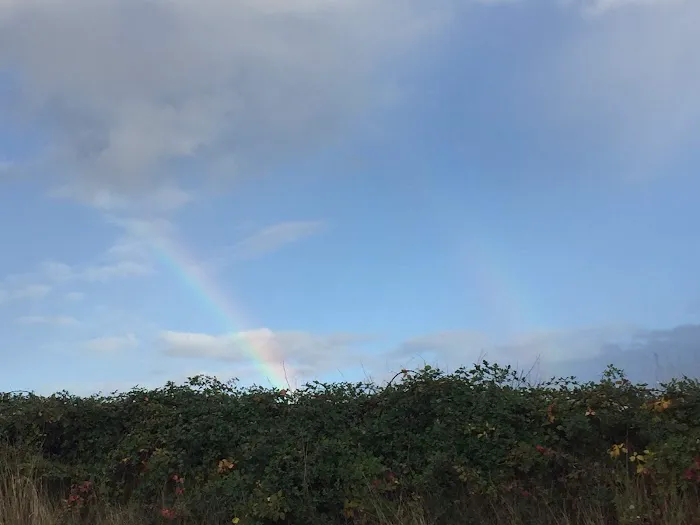 Emerald Valley RV Park Picture 4