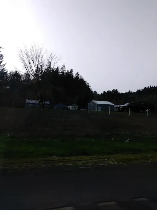 Emerald Valley RV Park Picture 3