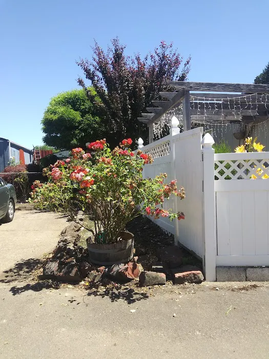 Independence MH & RV Park (RV Spaces Available) Picture 4