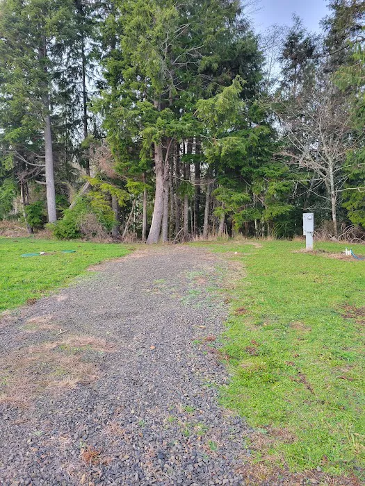 Coastal Woods RV Park Picture 4