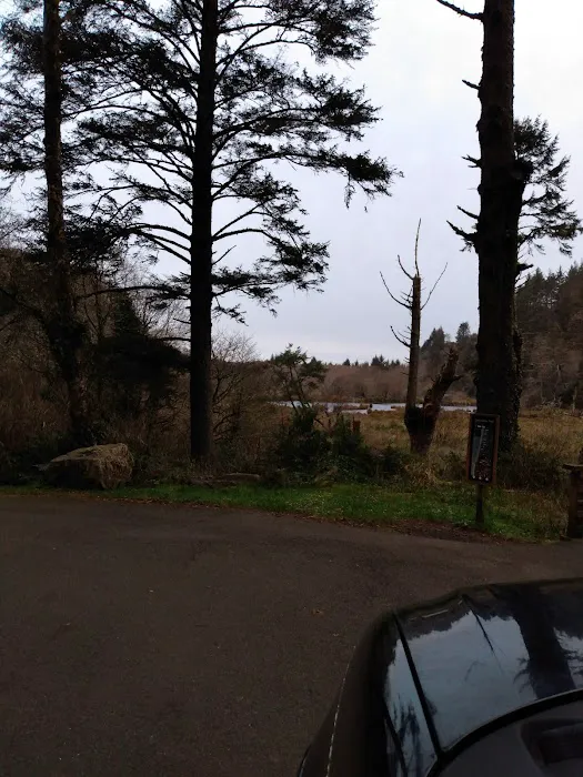 Beacon Charters RV Park Picture 2