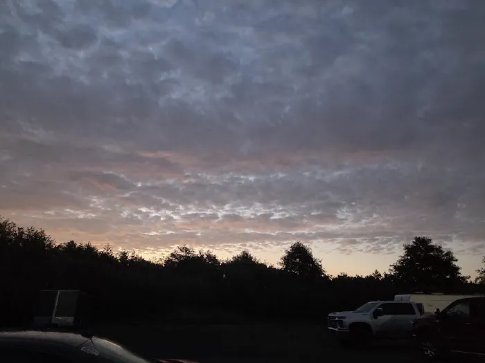 Beacon Charters RV Park Picture 4