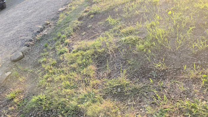 Beacon Charters RV Park Picture 8