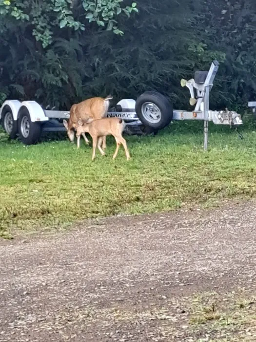 Fisherman's Cove RV Park Picture 1