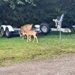 Fisherman's Cove RV Park