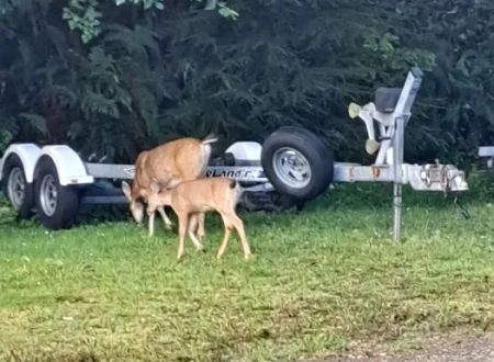 Fisherman's Cove RV Park
