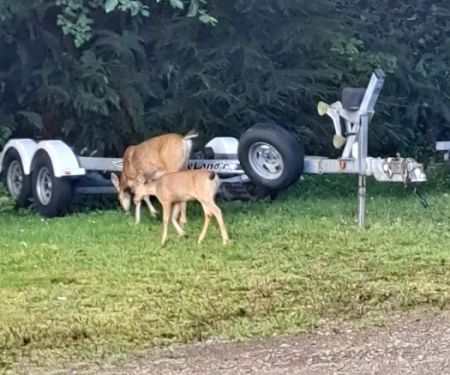 Fisherman's Cove RV Park