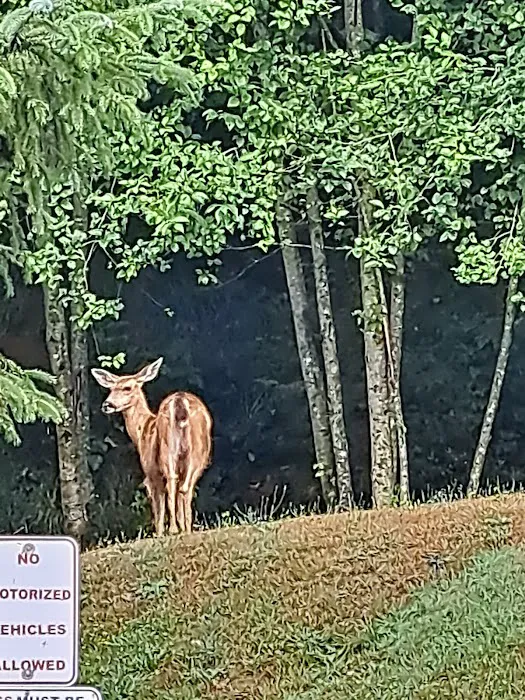 Fisherman's Cove RV Park Picture 2