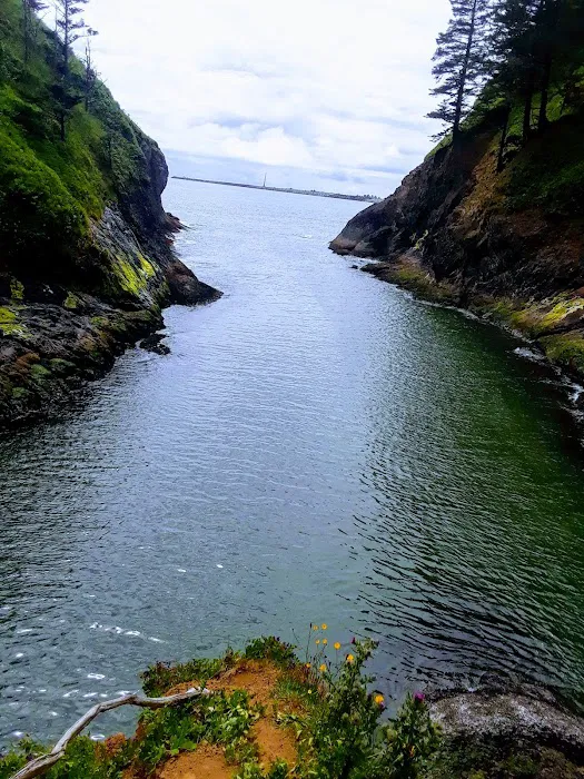 Fisherman's Cove RV Park Picture 5