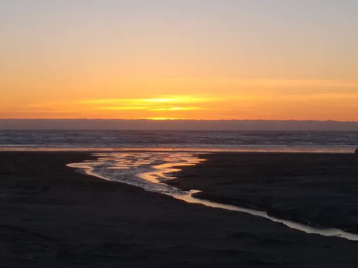 Safari Association of Ilwaco Picture 2