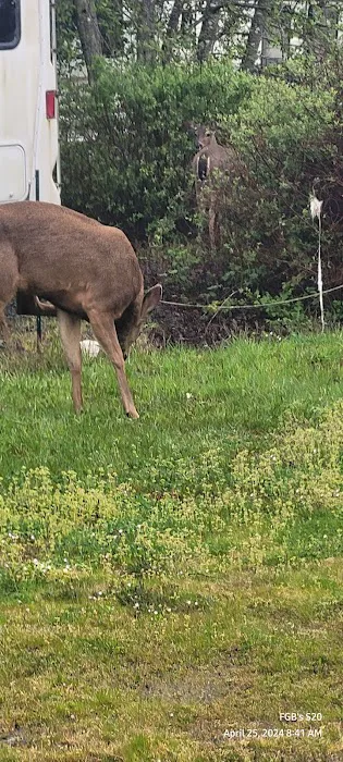 Safari Association of Ilwaco Picture 5
