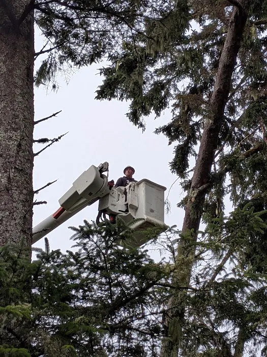Safari Association of Ilwaco Picture 8
