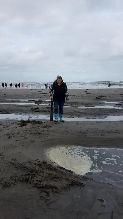 Oceanic Rv Park Picture 7