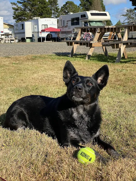 Sandcastle RV Park Picture 6