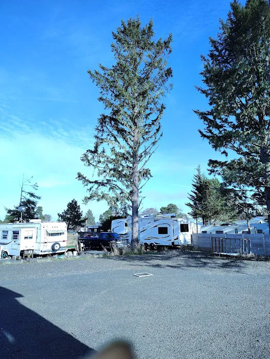 Rosemont Terrace RV Park Picture 3