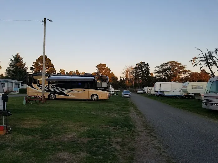 Driftwood RV Park Picture 1