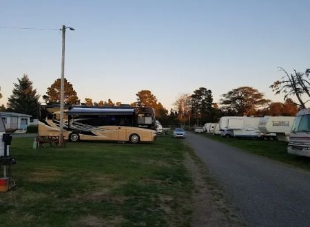 Driftwood RV Park