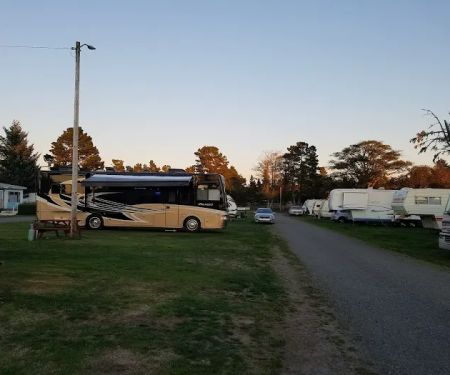 Driftwood RV Park