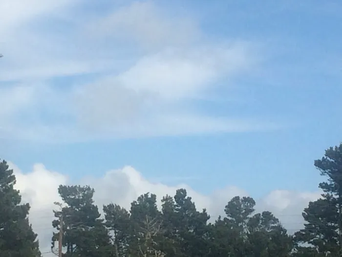 Driftwood RV Park Picture 5