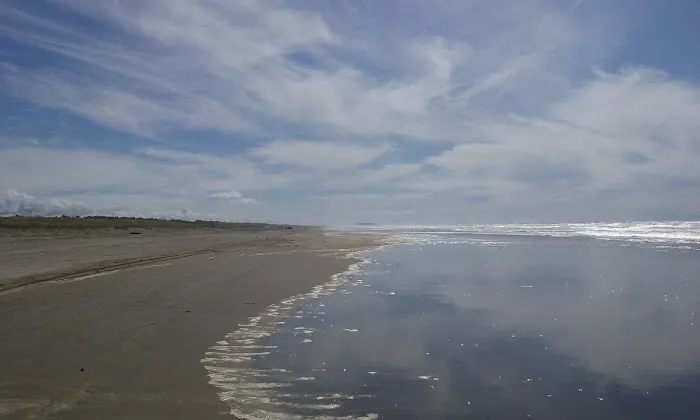 Driftwood RV Park Picture 4