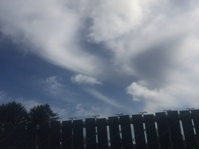 Driftwood RV Park Picture 3