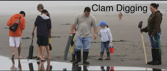 Long Beach Peninsula RV Park Picture 7