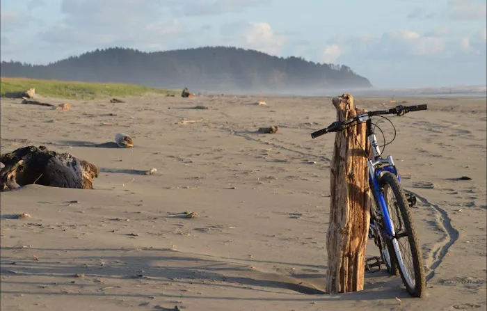 Long Beach Peninsula RV Park Picture 8