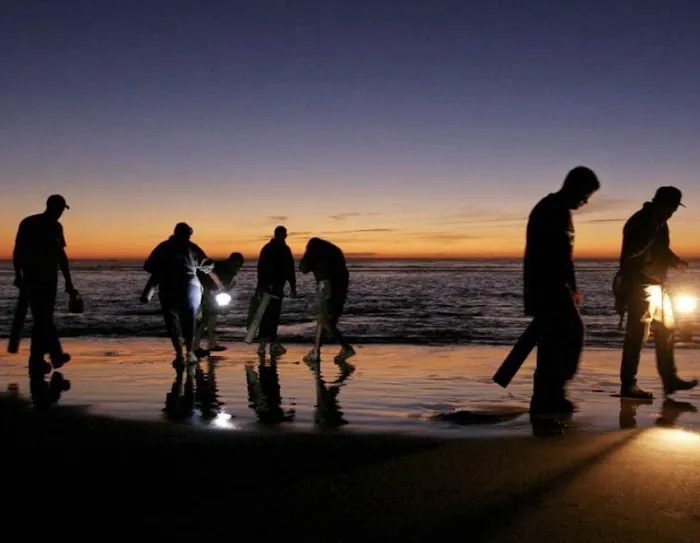 Long Beach Peninsula RV Park Picture 9