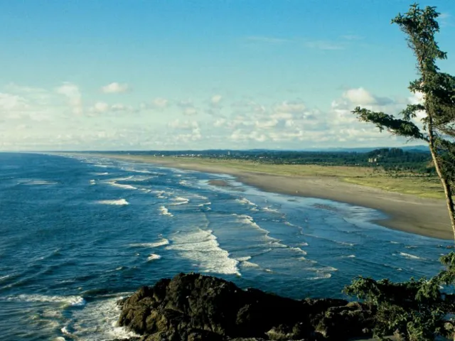 Long Beach Peninsula RV Park Picture 10