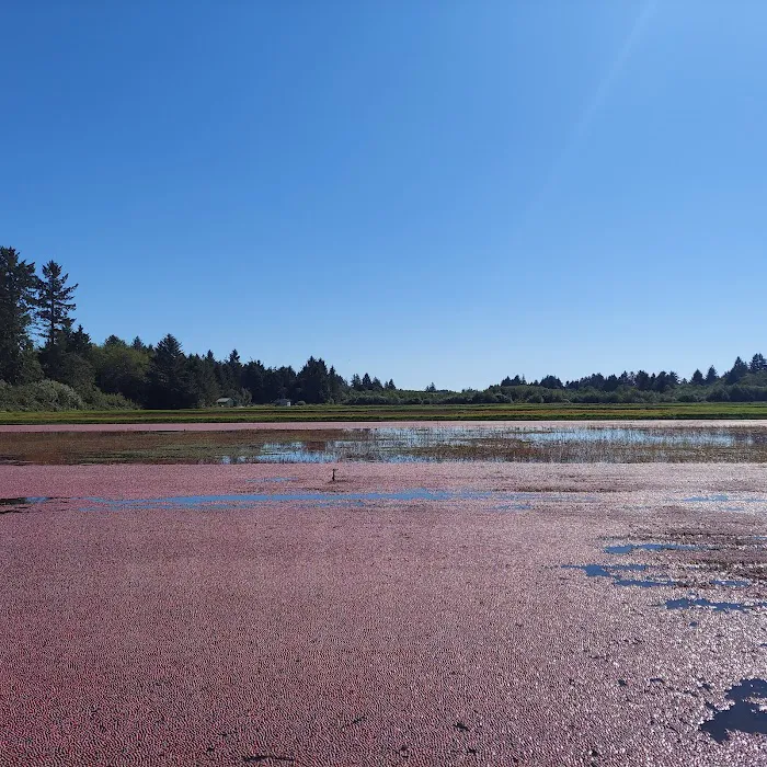 Cranberry Community LLC & RV Park Picture 8