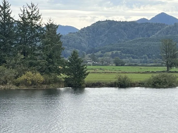 Nehalem Shores RV Park Picture 6