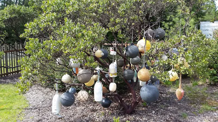 Nehalem Bay Trailer Park Picture 7