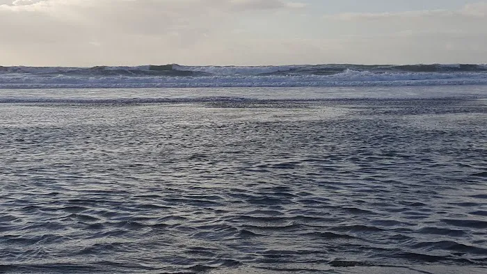 Nehalem Bay Trailer Park Picture 6