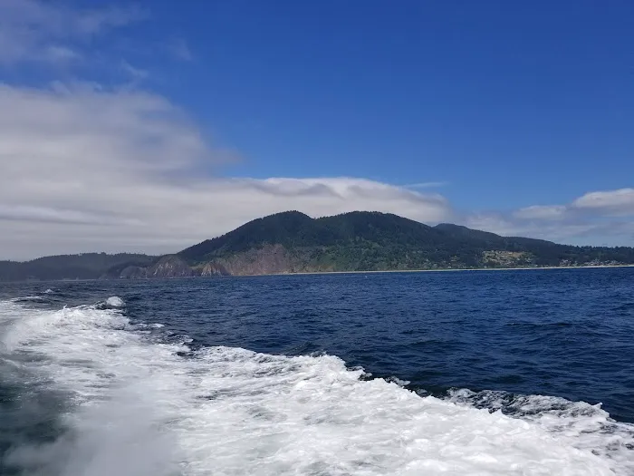 Nehalem Bay Trailer Park Picture 9