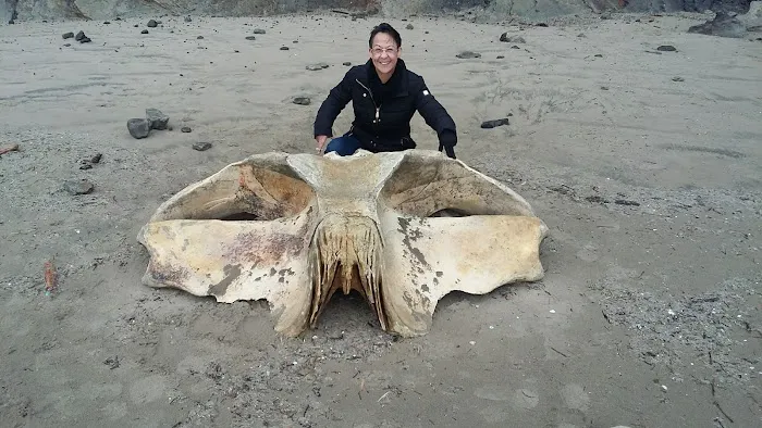 Nehalem Bay Trailer Park Picture 10