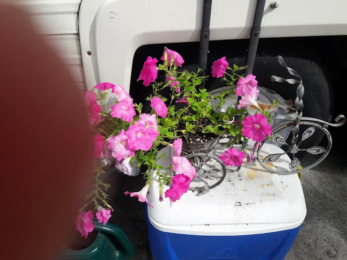 Harrison RV/Mobile Home Park Picture 1