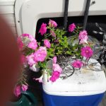 Harrison RV/Mobile Home Park