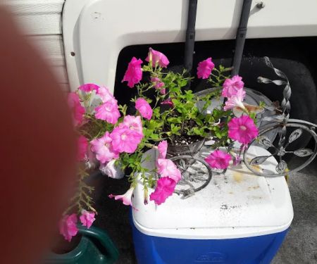 Harrison RV/Mobile Home Park