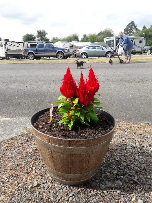 Harrison RV/Mobile Home Park Picture 3