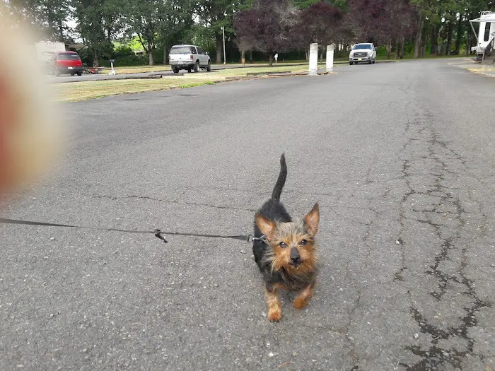 Harrison RV/Mobile Home Park Picture 7