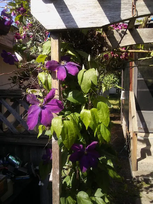 Harrison RV/Mobile Home Park Picture 9