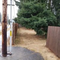 Prairie Pines LLC ico