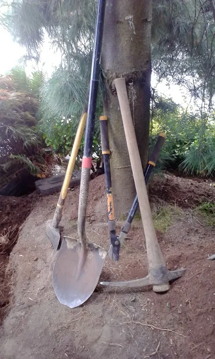 Prairie Pines LLC Picture 3