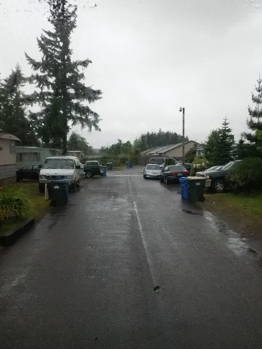 Prairie Pines LLC Picture 4