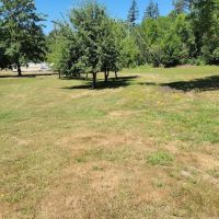 McSquizzy's R.V. Park ico