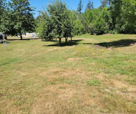 McSquizzy's R.V. Park